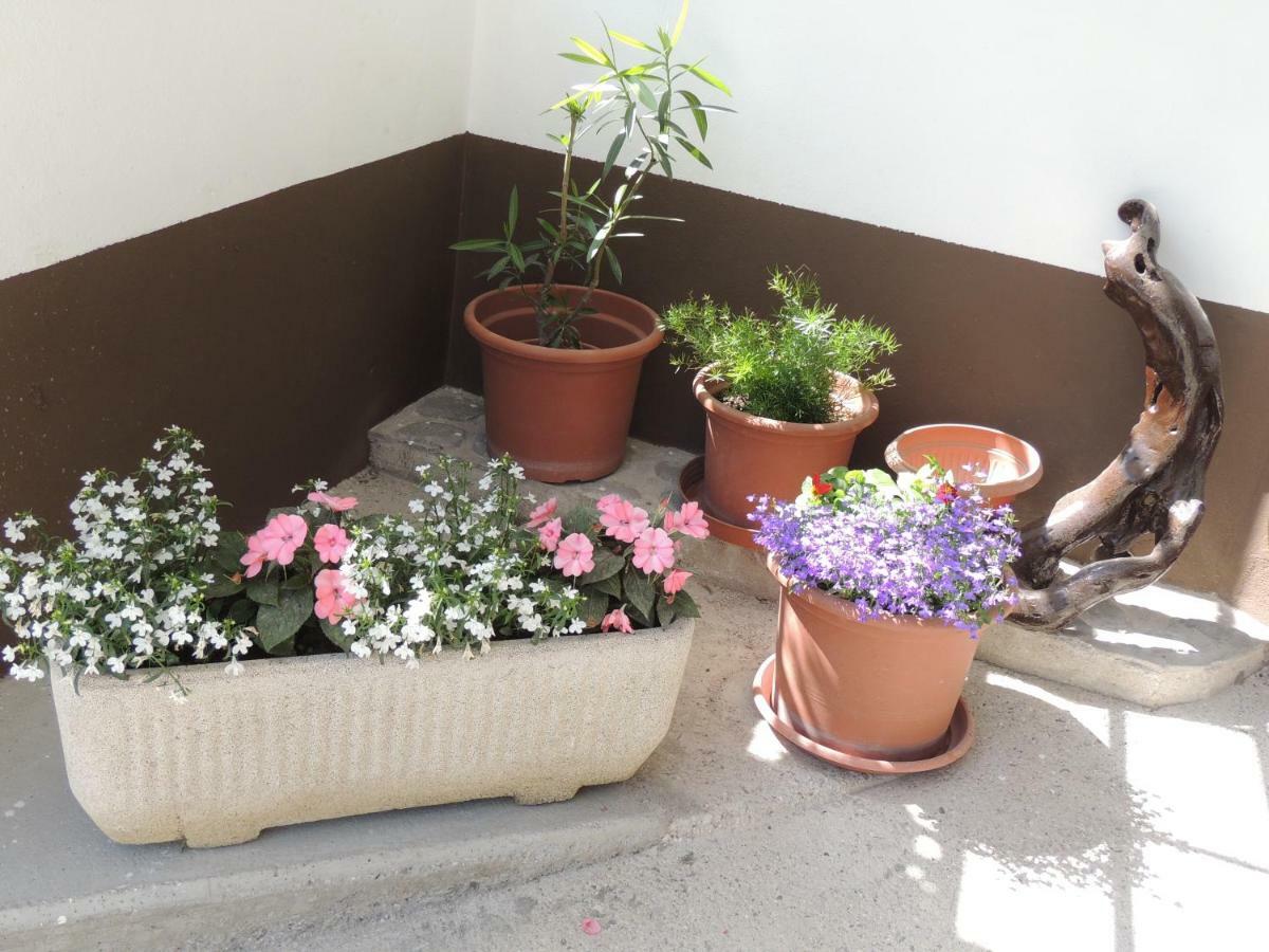 Carli-jurc Apartman Kobarid